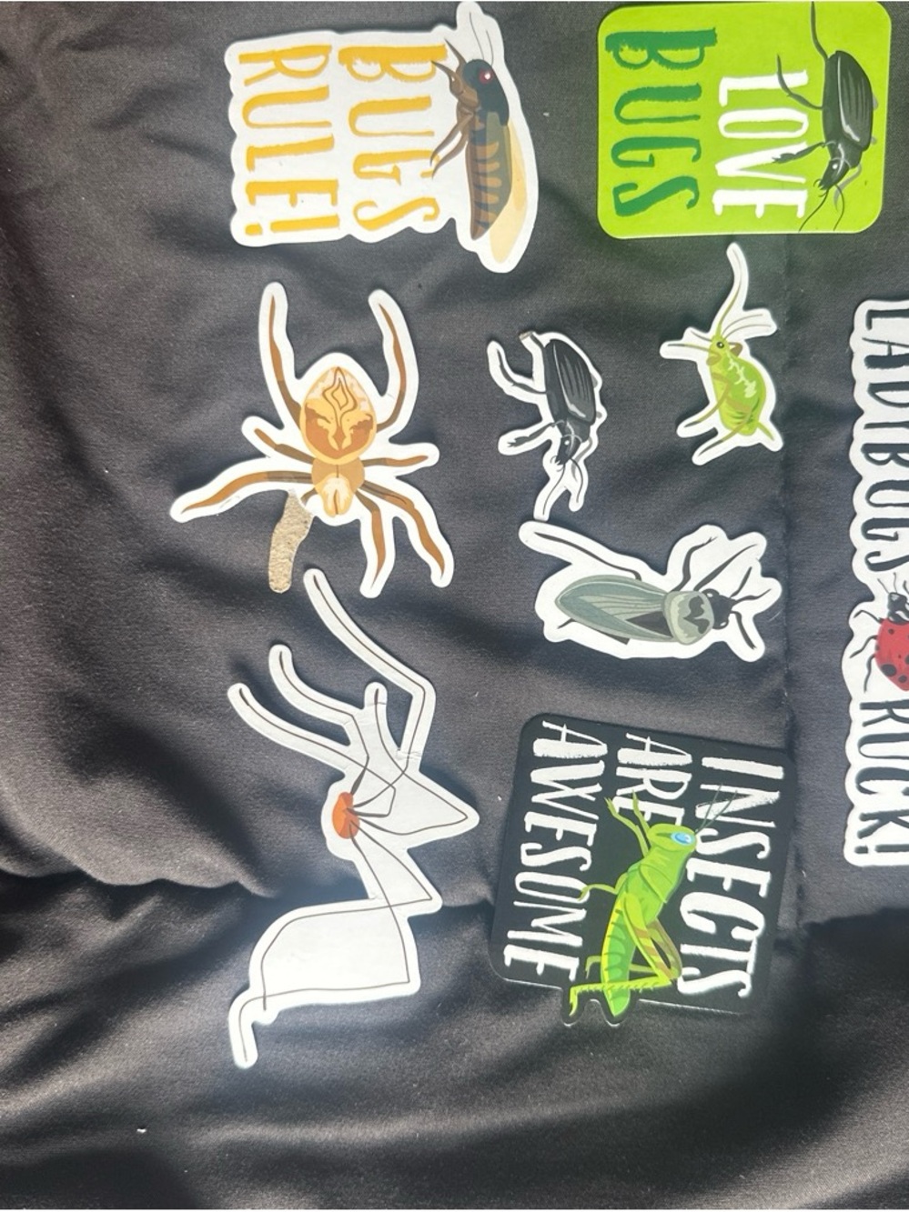 Bendon Bug Science STEM Learning Set - Picture 4 of 7